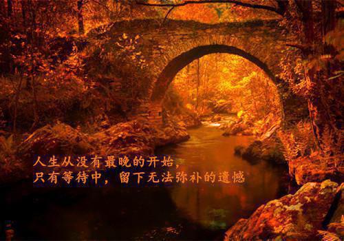 愿将过往秋收冬藏言情作品最新小说（孟棠音季怀瑾）全文阅读