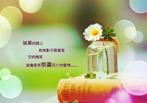 顾砚之是什么书 顾砚之免费章节在线阅读