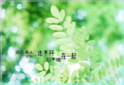 主角陆辰枫方庭澜小说 陆辰枫方庭澜小说全文免费阅读