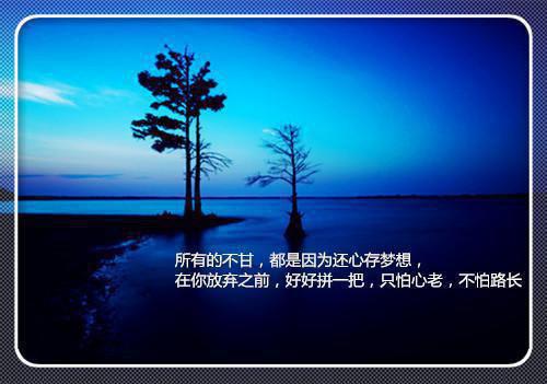 真千金重生后假千金她被团宠最新章节列表_真千金重生后假千金她被团宠全文免费阅读(裴星月姜夜)