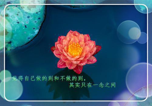 沈明微沈安宁的小说 喜上加禧小说免费阅读