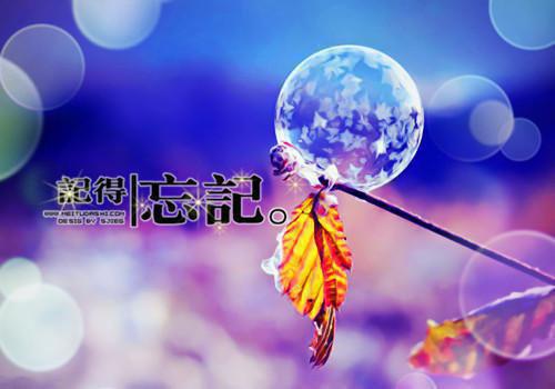 沈砚程薇免费大结局 骨灰撒海后，佛子出家了完结小说