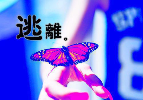 虞夕婳周烨谦小说在哪里看 虞夕婳周烨谦在线阅读第1章