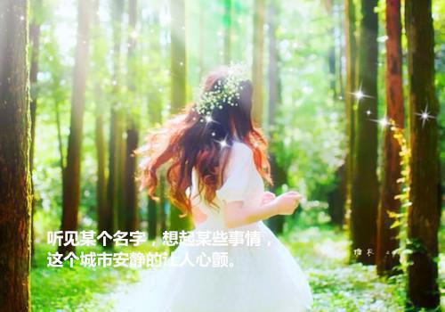 陆斯言林念安全文免费 陆斯言林念安在线阅读