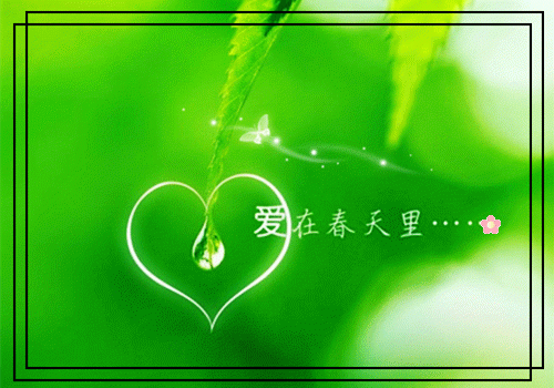 林萱王磊免费阅读目录 林萱王磊小说全文