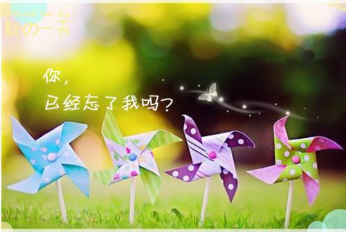 栀夏沈知节免费阅读小说 栀夏沈知节第4章