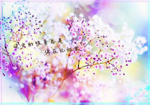 婆婆把我的保胎中药换成碘伏后，我离婚了(结局) 李雪瑶张诚远免费阅读全文