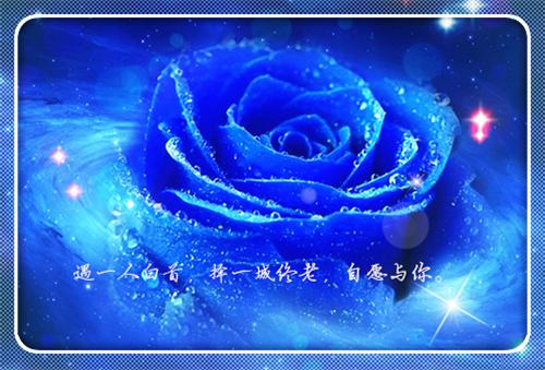无根老公同时让五个保姆怀孕后，他跪求我原谅谢渊州知夏小说免费试读