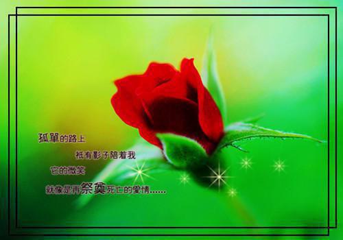姜夜陈梦冉宋栀免费全文无弹窗 当摆烂宿主遇到人鱼反派：全章节+番外小说在线阅读