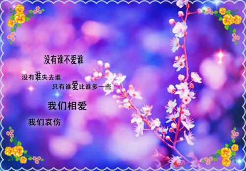 此生虽短情意长：全文+后续（程微雨傅临淮）最新章节列表_此生虽短情意长：全文+后续（程微雨傅临淮）此生虽短情意长：全文+后续在线阅读