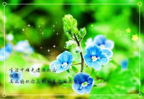 叶玄月裴与安小说全文 叶玄月裴与安小说免费阅读大结局