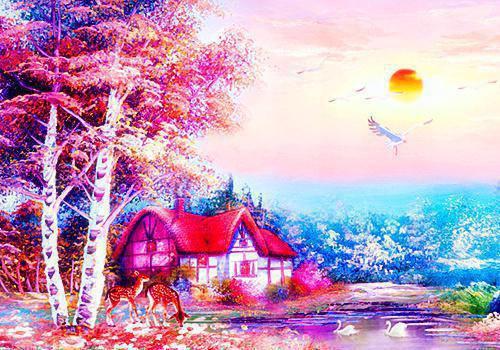 直播抓奸我的复仇从全网围观开始王磊张倩完结小说全文在线阅读