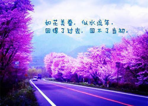 被夺锦鲤运？崽崽她是玄学真祖宗(楚玥言萝)无弹窗阅读