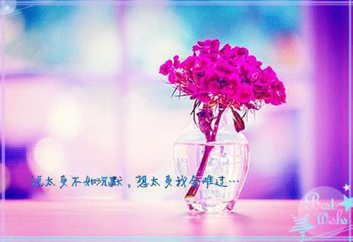 程予桉孟清慈林微澜全文免费阅读最新 程予桉孟清慈林微澜第27章