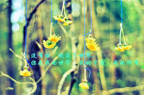 夏菡小说名字 夏菡全文免费阅读