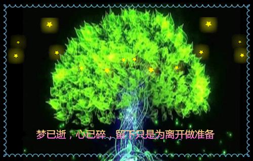 宋禾景秦月霓是什么小说的主人公 宋禾景秦月霓免费阅读