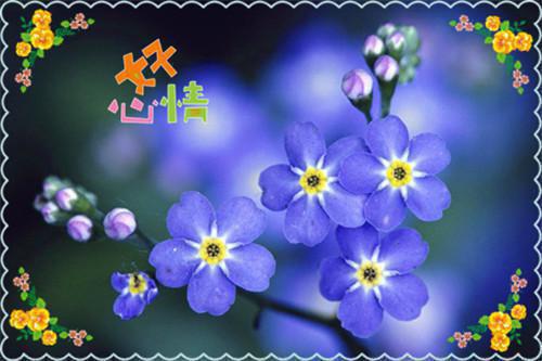 宋迢陆雅怡陆宗雄楚曌宁《清风朗月照我行：小说全文+后续》小说在线阅读
