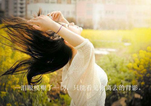 爱意散在风里全文阅读（唐心陆丞安）最新章节_爱意散在风里全文阅读