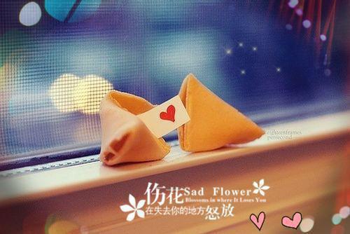 两世孤途埋雪骨首发小说 叶北宸军霍清玥在线阅读