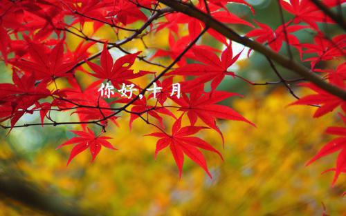 最新章节像春天原谅了所有雪：结局+番外优质全章（宋楚瑜顾时）_像春天原谅了所有雪：结局+番外优质全章宋楚瑜顾时最新章节