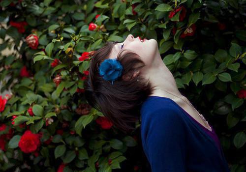 苏淼淼厉安宴《龙舟赛老公为秘书抢走我的救生衣》小说在线阅读