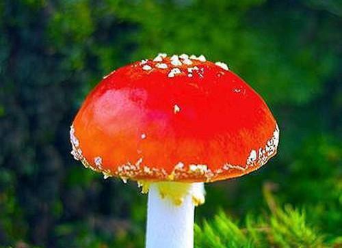 八零年代漂亮蠢货重生了苏绵绵陆禹城完结小说全文在线阅读