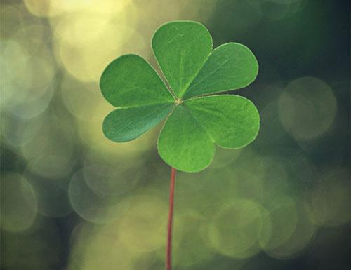 安沐妍顾瑾舟最新章节免费 安沐妍顾瑾舟第3章在线阅读