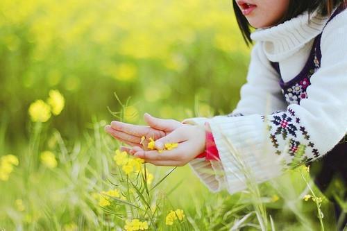宋歆宁高承傅哪里可以看 宋歆宁高承傅免费阅读第2章