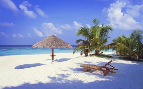 都市：我，神级保镖最新更新 赵龙免费读