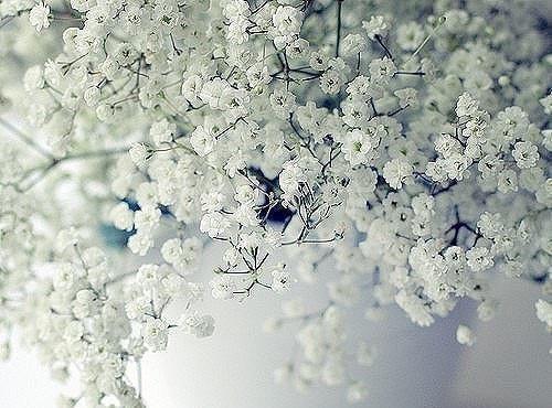 柳月萧恒小说名字 白天杀猪，晚上卖肉：结局+番外+完结章节试读