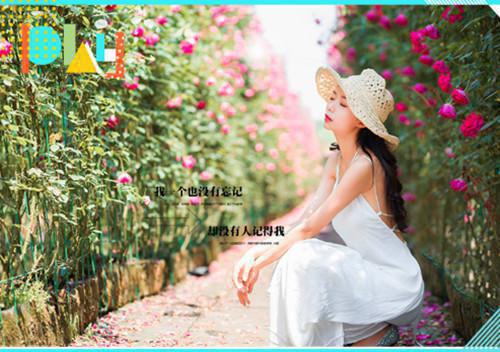 宋月月靳川禾免费小说 宋月月靳川禾全文阅读目录