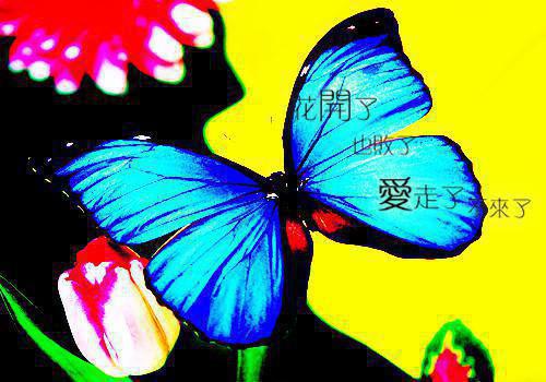 沈时泽楚悠悠的小说 替身的复仇小说免费阅读