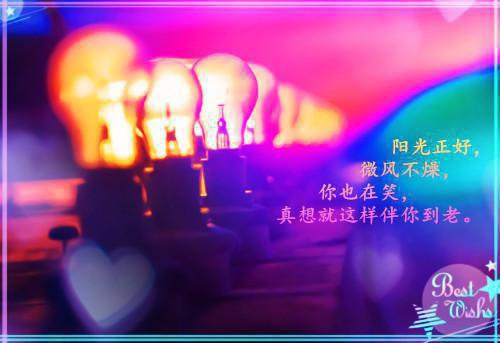 主角谢凝霜林铮小说免费阅读最新章节