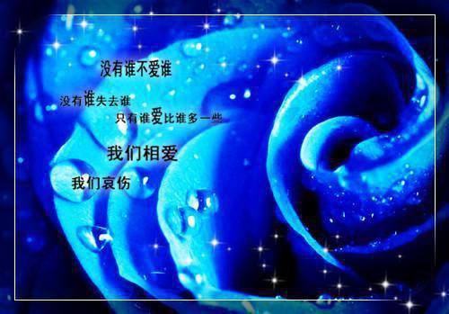 时予林心尧全文最新章节正版小说免费阅读