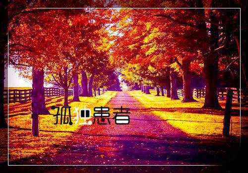 陆刑天夜寐歌全文最新章节正版小说免费阅读