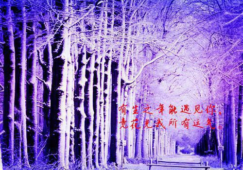 全本神女老婆却在背地承欢作乐：+后续+结局（傅雅宁顾尘）最新章节列表_全本神女老婆却在背地承欢作乐：+后续+结局（傅雅宁顾尘）全本神女老婆却在背地承欢作乐：+后续+结局在线阅读