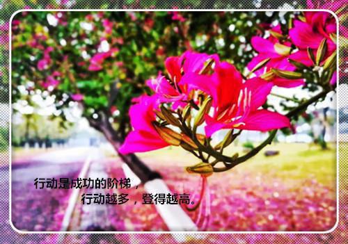 温清瑶慕宴卿小说免费试读 温清瑶慕宴卿第2章