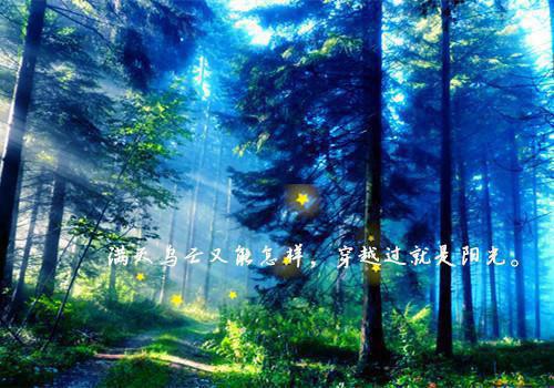 周砚杜若《说谎的人吞一万根针》小说在线阅读
