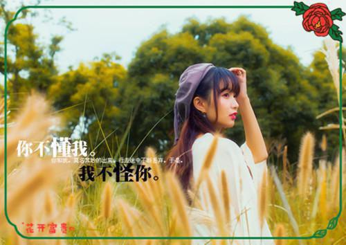 不渡春庭十年雪免费读全文 林晓云苏清鸢小说无弹窗