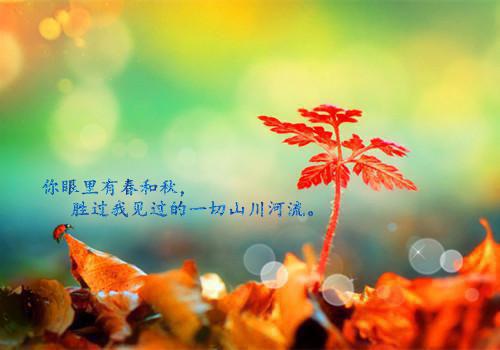 陆清河林月瑶小说最后结局 陆清河林月瑶完结版免费阅读