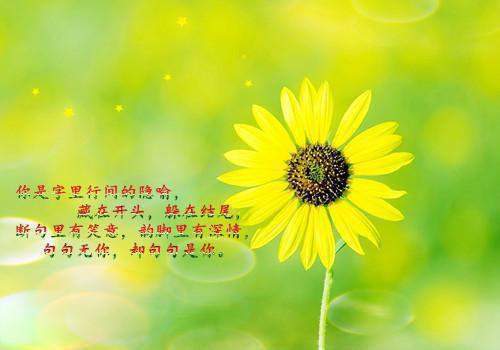 香皂花（谭宁韵俞晚廷）小说全文免费_香皂花（谭宁韵俞晚廷）最新章节目录笔趣阁