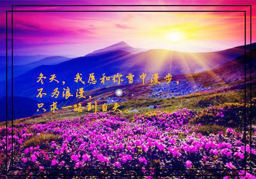 傅茜阿峥小说最后结局 傅茜阿峥完结版免费阅读