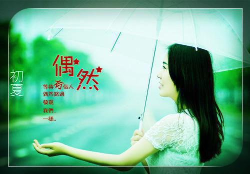 《陆迟叙小说》无弹窗全文免费阅读