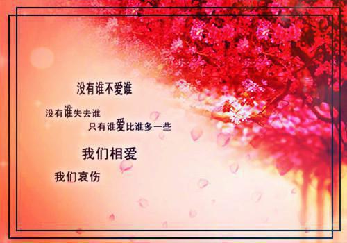 安妍顾瀛轩全文最新章节正版小说免费阅读