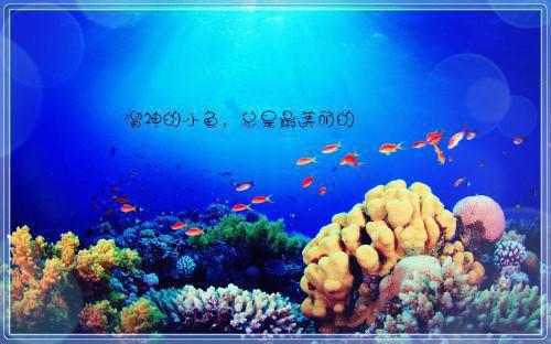 七零疯批异能大佬，开局手撕全家夏茉苏桃全文免费阅读(已完结)