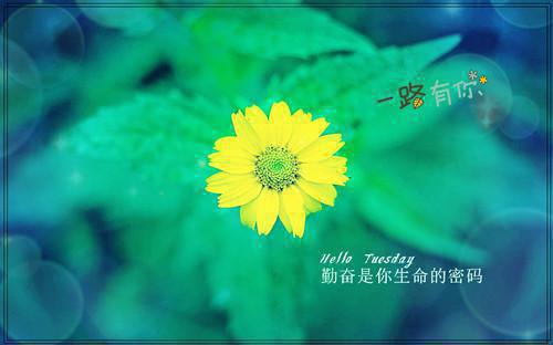 沈冰凤炀全文免费 沈冰凤炀在线阅读