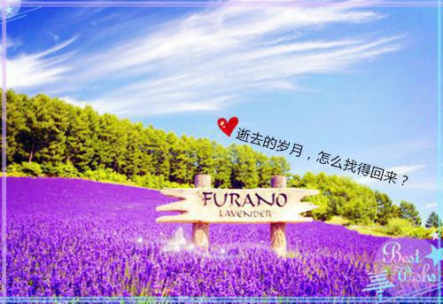 悠悠的小说 悠悠全文免费阅读