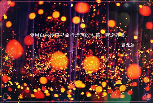 秦洛胤宋纾语全文免费 秦洛胤宋纾语在线阅读