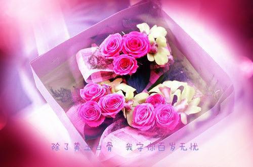 我与回忆共沉沦：，许明月沈明修完结全文阅读最新章节_我与回忆共沉沦：，许明月沈明修完结全文阅读