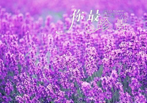 重生后本宫把渣男当了二百五十两最新更新 慕容钰裴明霞小说在线阅读